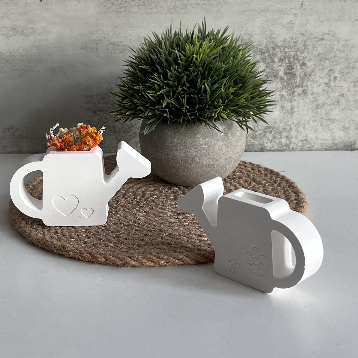 2PCS Gypsum Watering Pot Silic - огляд і ціна Resin Craft Ideas